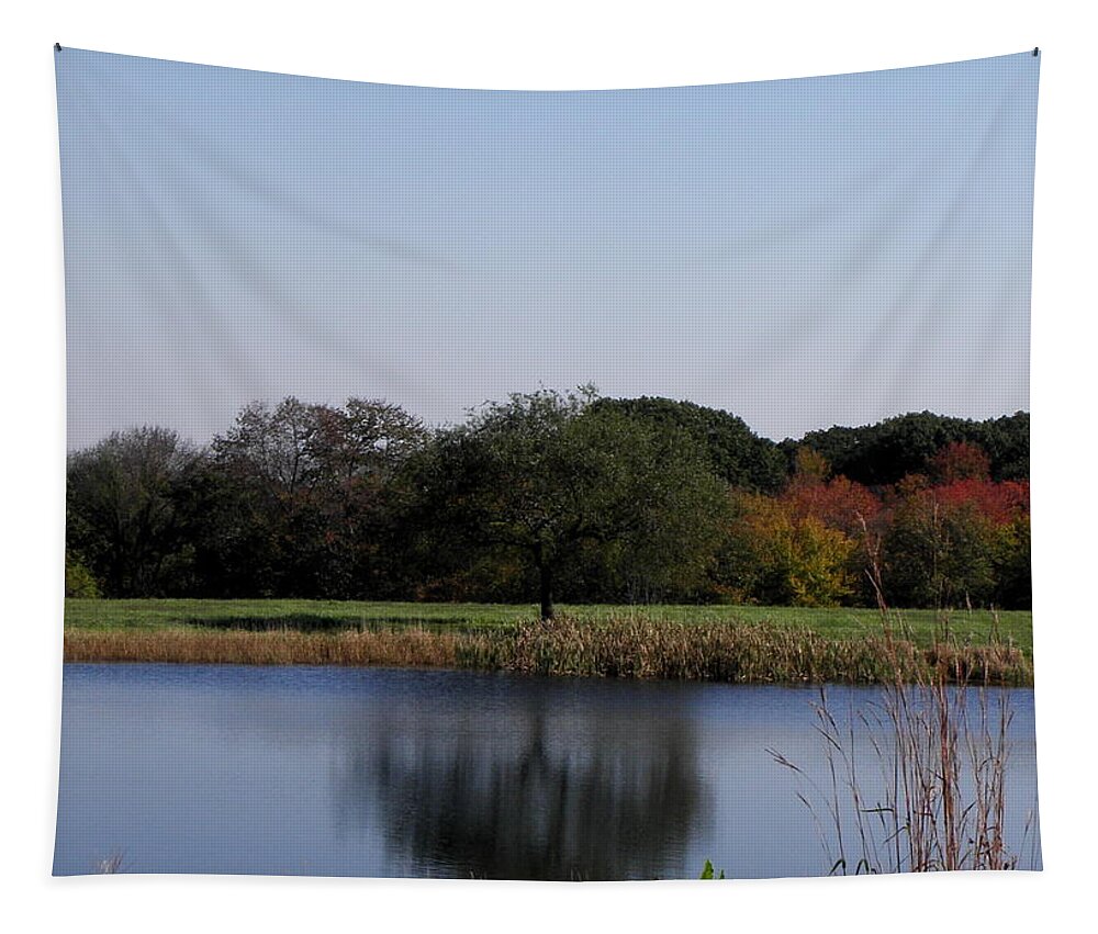 Reflection Tapestry featuring the photograph Perfect Reflection by Kim Galluzzo