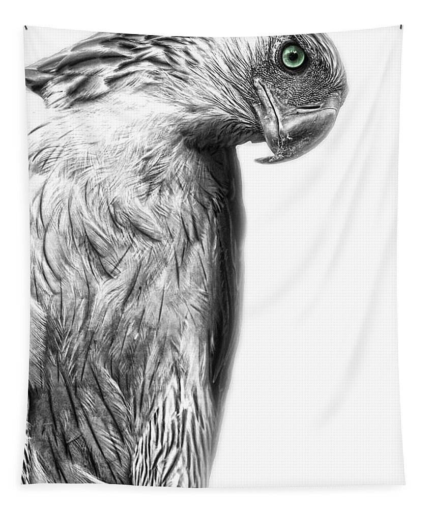 Yhun Suarez Tapestry featuring the photograph Philippine Eagle by Yhun Suarez