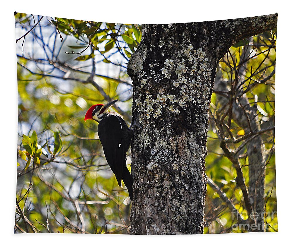 Pileated Woodpecker Tapestry featuring the photograph Pileated Woodpecker by Al Powell Photography USA