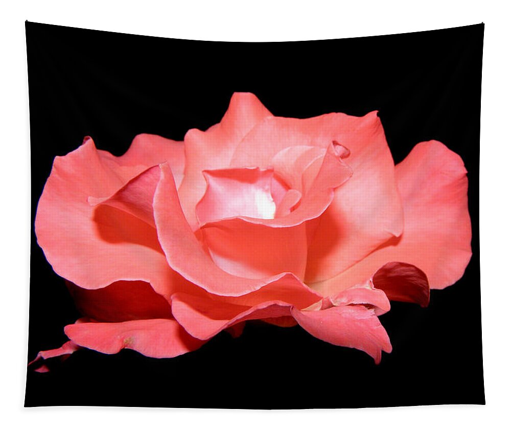 Flower Tapestry featuring the photograph Pink Floater by Kim Galluzzo