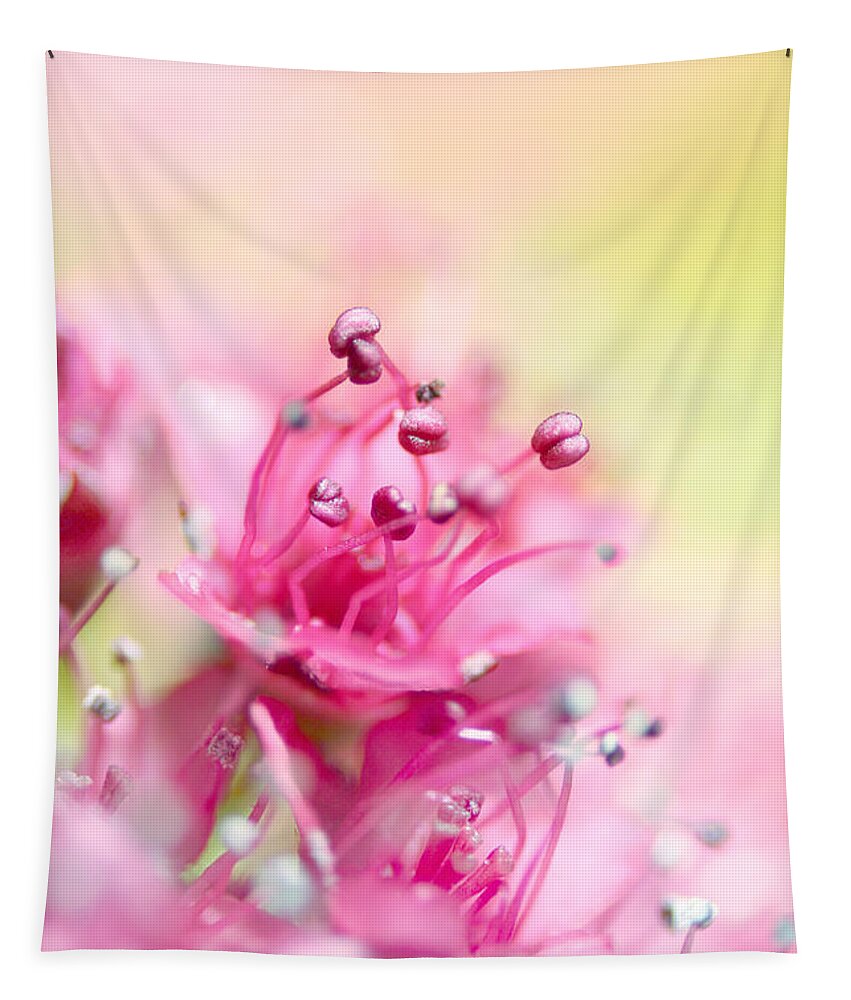 Flower Tapestry featuring the photograph Pink Magic by Sharon Johnstone