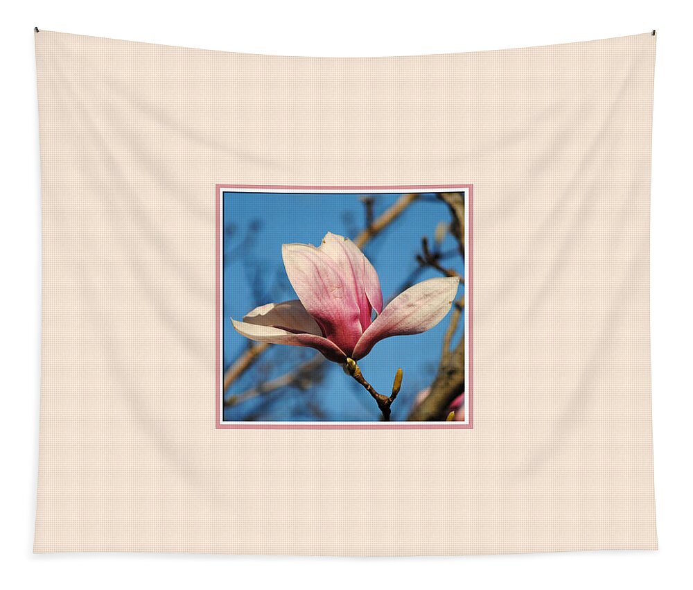 Flower Tapestry featuring the photograph Pink Magnolia Photo Square by Jai Johnson