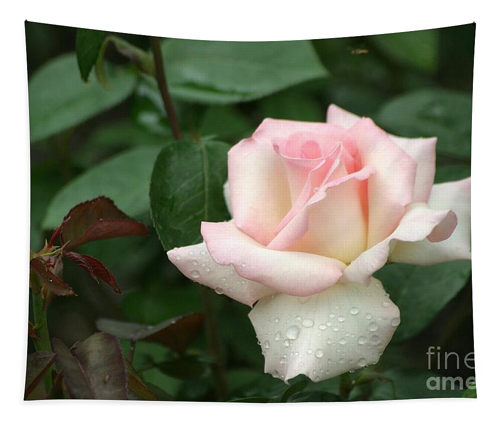 Rose Tapestry featuring the photograph Pink Promise by Living Color Photography Lorraine Lynch