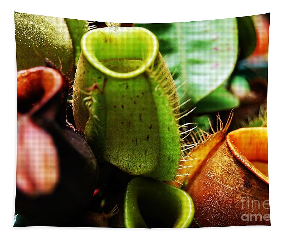 Pitcher Plant Cluster Tapestry featuring the photograph Pitcher Plants by Angela Murray