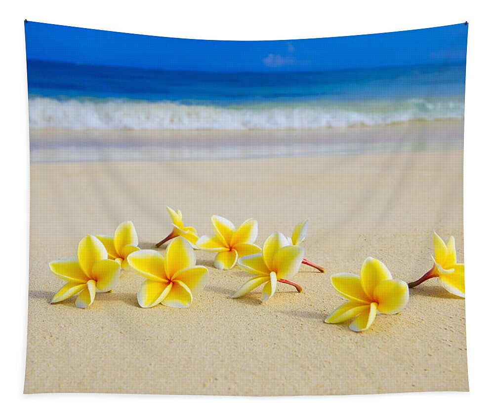 Background Tapestry featuring the photograph Plumerias on Beach II by Tomas del Amo