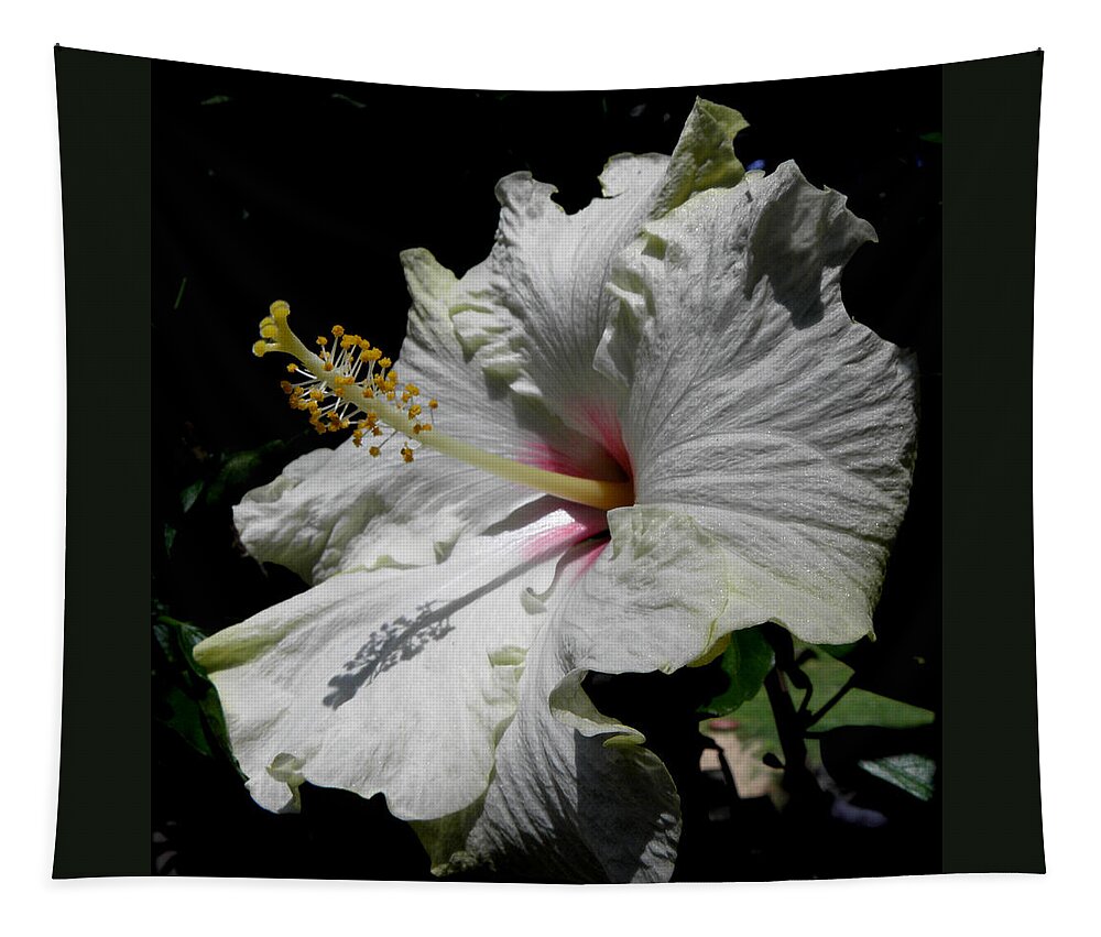 Hibiscus Tapestry featuring the photograph Pointing Towards The Sun by Kim Galluzzo