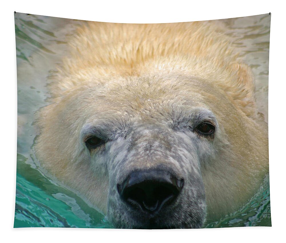 Zoo Tapestry featuring the photograph Polar Bear Swim by David Rucker
