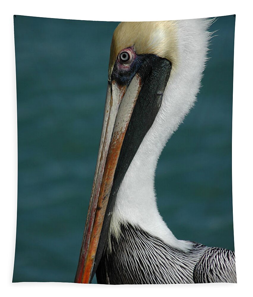 Pelican Tapestry featuring the photograph Posing for the Tourists by Vivian Christopher