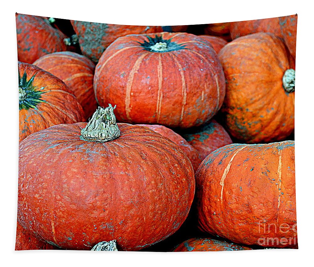 Pumpkin Tapestry featuring the photograph Pumpkin Patch by Kevin Fortier