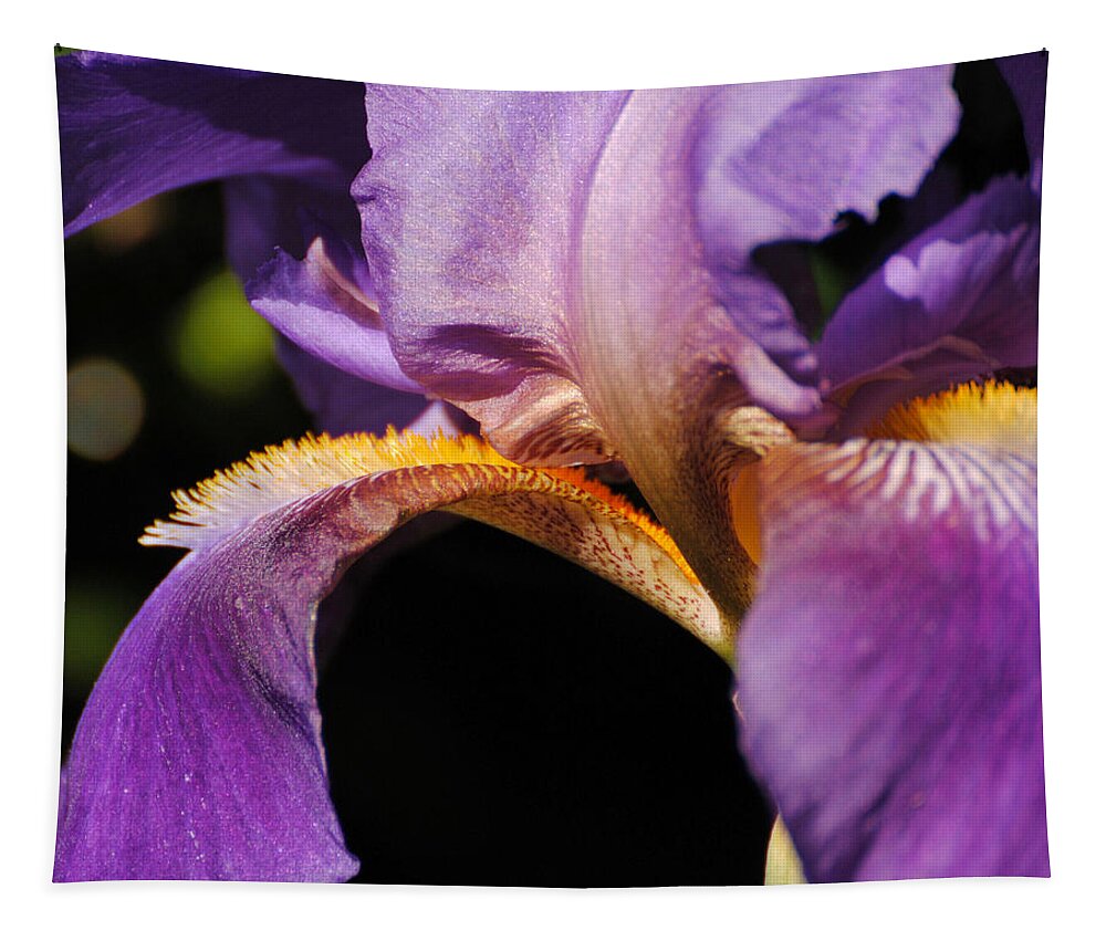 Beautiful Iris Tapestry featuring the photograph Purple and Yellow Iris Close Up by Jai Johnson