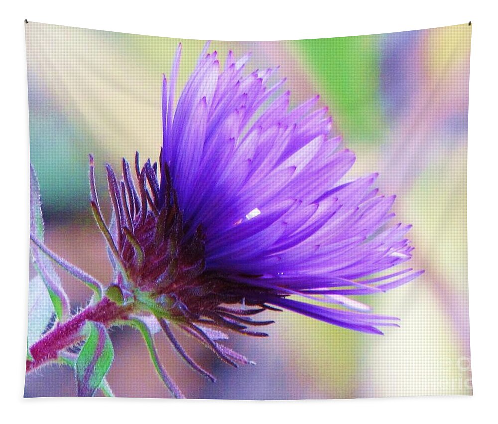 Aster Tapestry featuring the photograph Purple Aster by Michele Penner