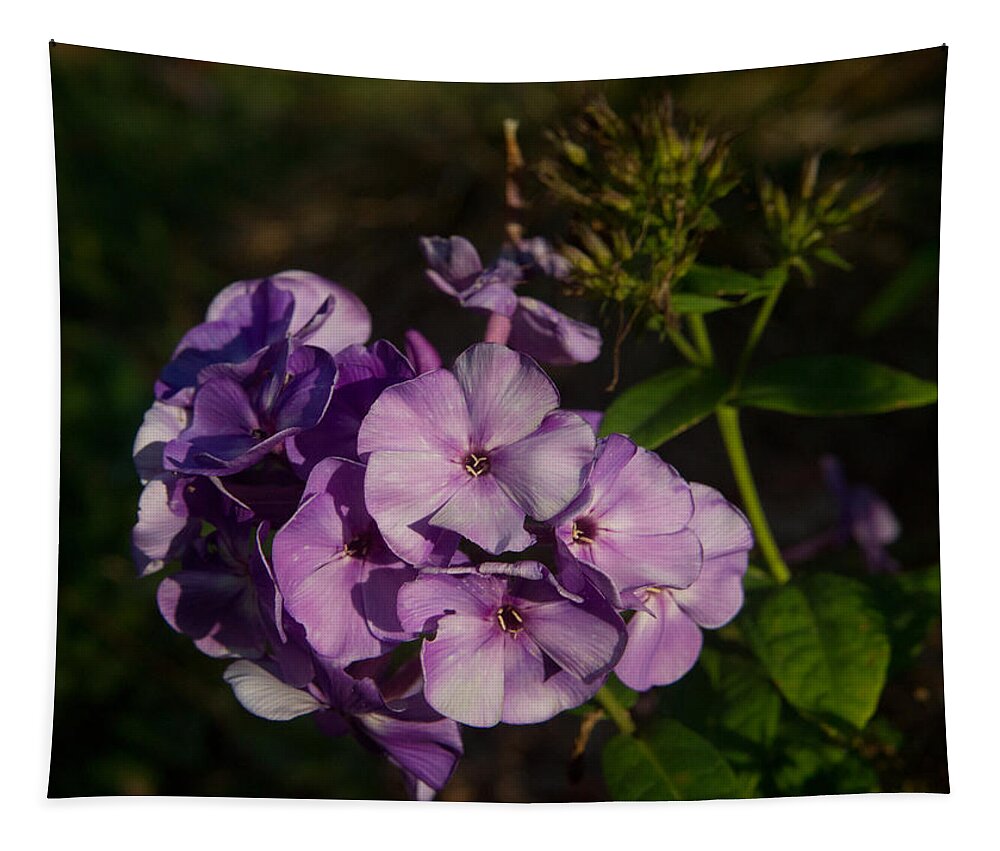 Purple Tapestry featuring the photograph Purple Cluster of Flowers by Douglas Barnett