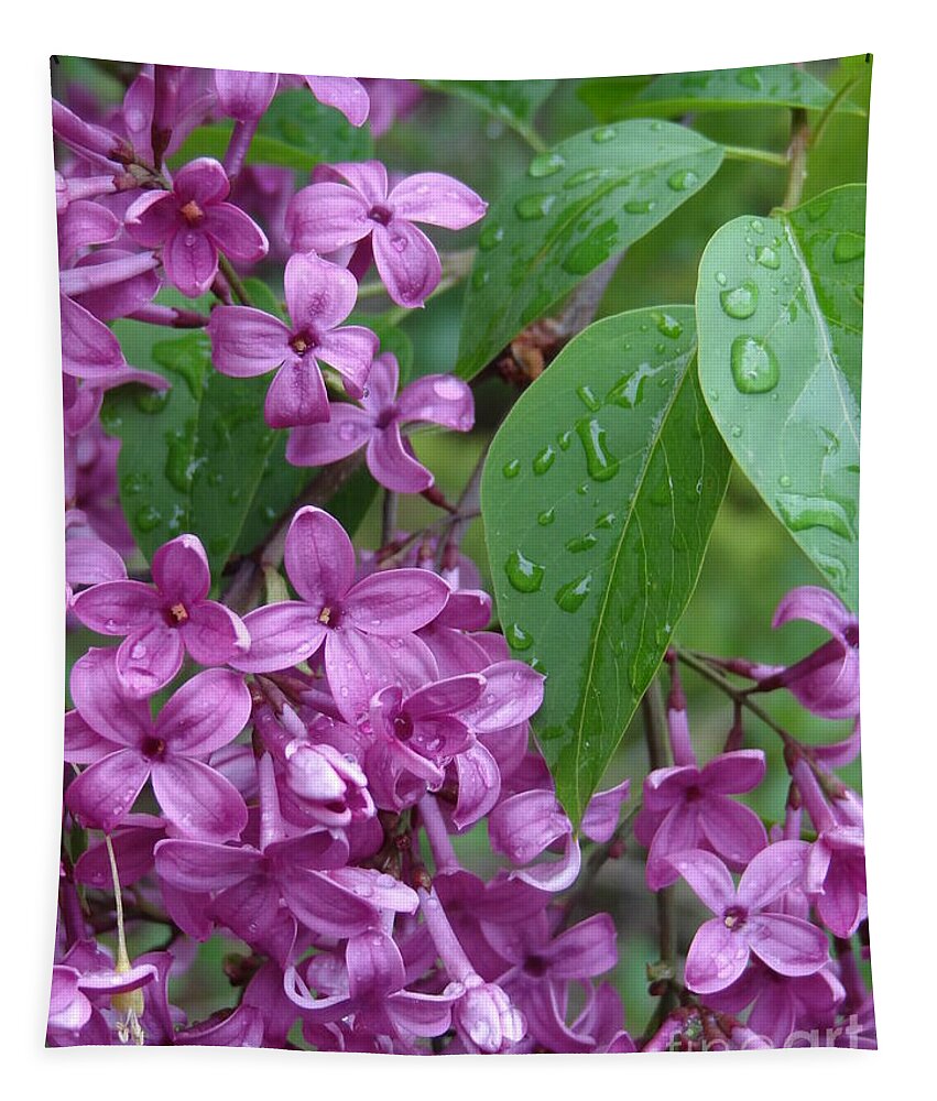 Purple Lilac Tapestry featuring the photograph Purple Lilac by Laurel Best