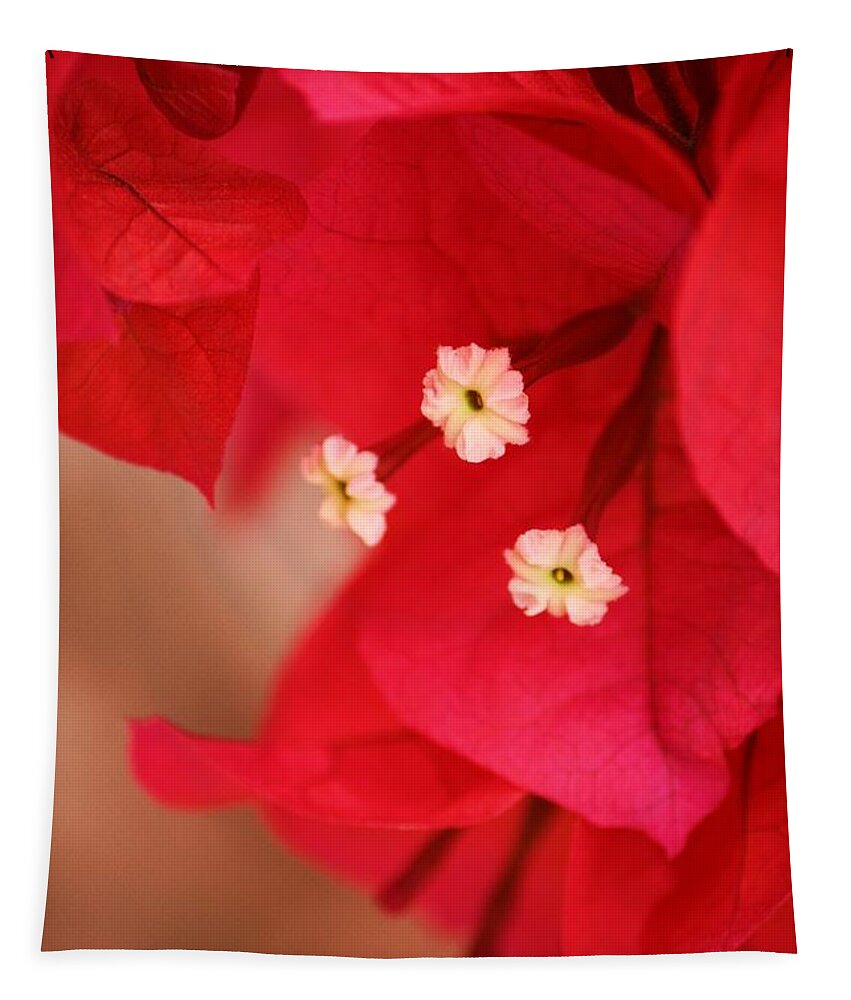 Bougenvilla Tapestry featuring the photograph Radish Red by Julie Lueders 