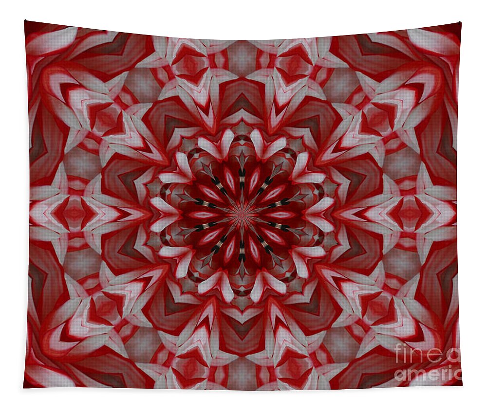 Abstract Tapestry featuring the photograph Reds by Paulina Roybal