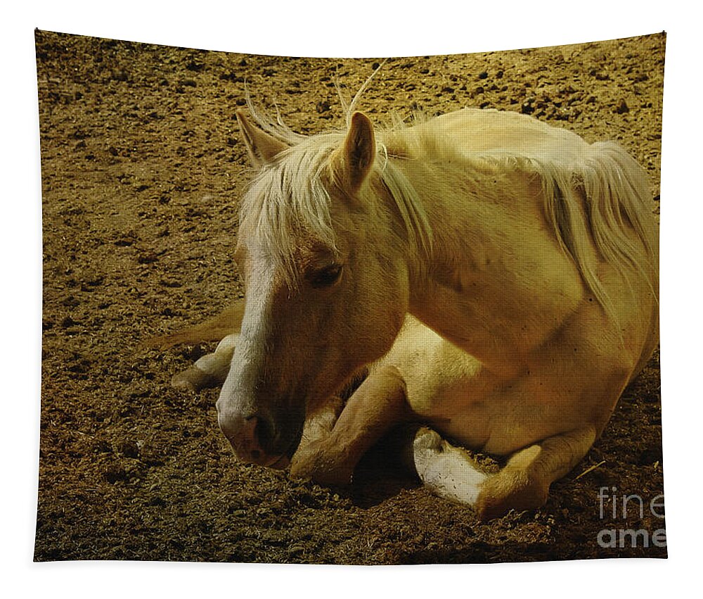 Horse Tapestry featuring the photograph Resting by Teresa Zieba