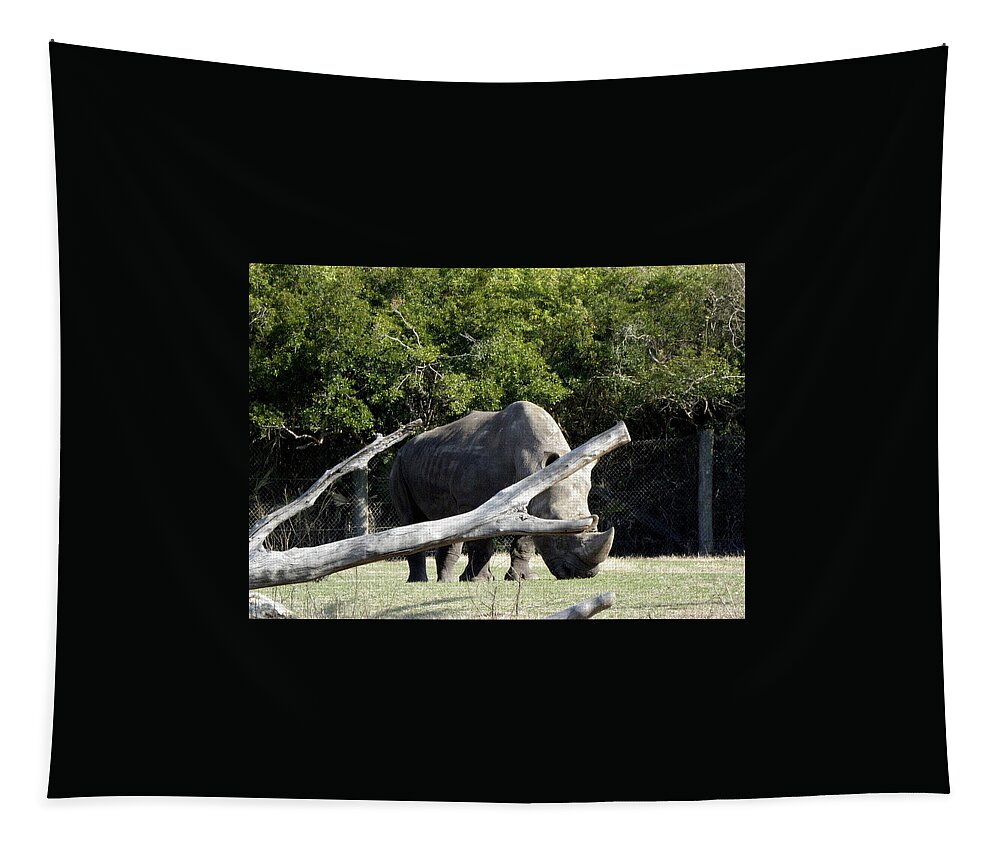 Rhinoceros Tapestry featuring the photograph Rhino by Kim Galluzzo