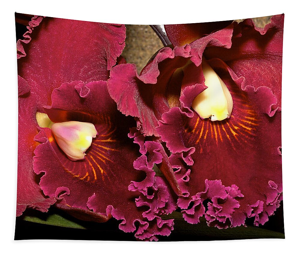 Orchids Tapestry featuring the photograph Rich Burgundy Orchids by Phyllis Denton