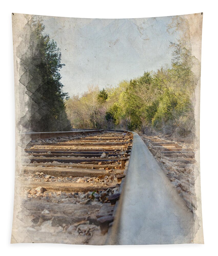 Angle Tapestry featuring the photograph Riding The Rail II by Ricky Barnard