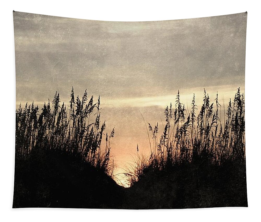 Dunes Tapestry featuring the photograph Rise Between The Dunes by Kim Galluzzo Wozniak