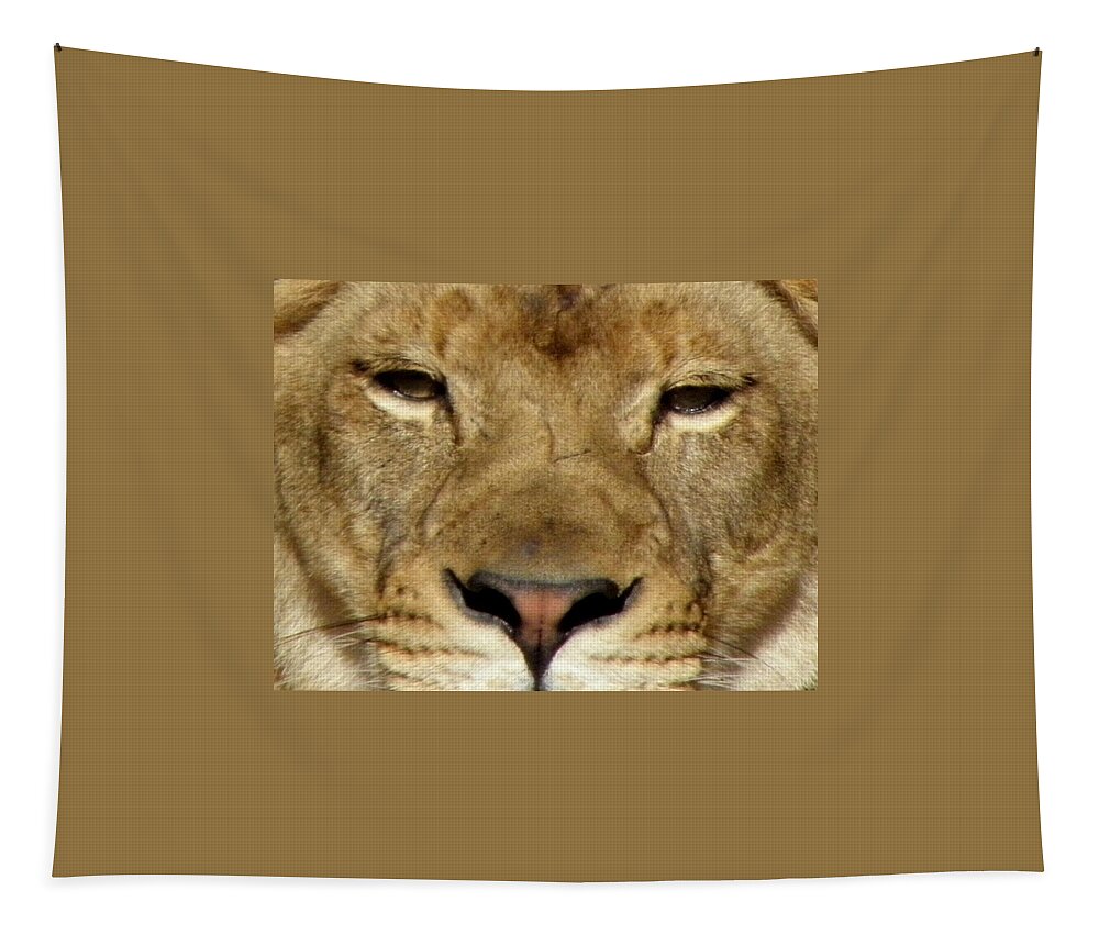Lion Tapestry featuring the photograph Roar by Kim Galluzzo