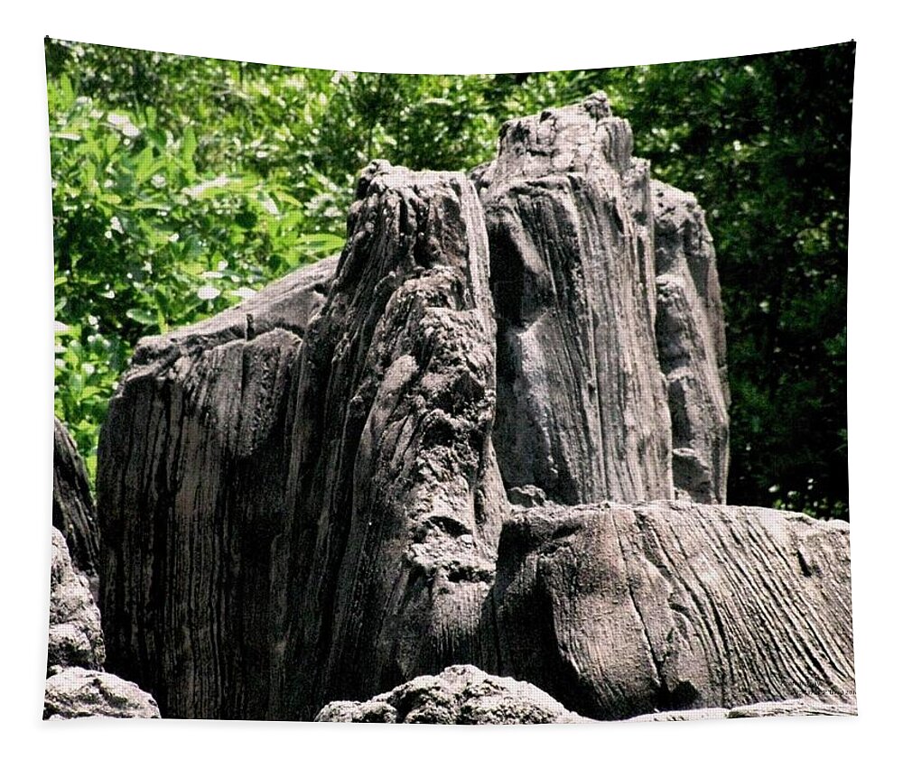 Rock Formation Tapestry featuring the photograph Rock Formation by Maria Urso