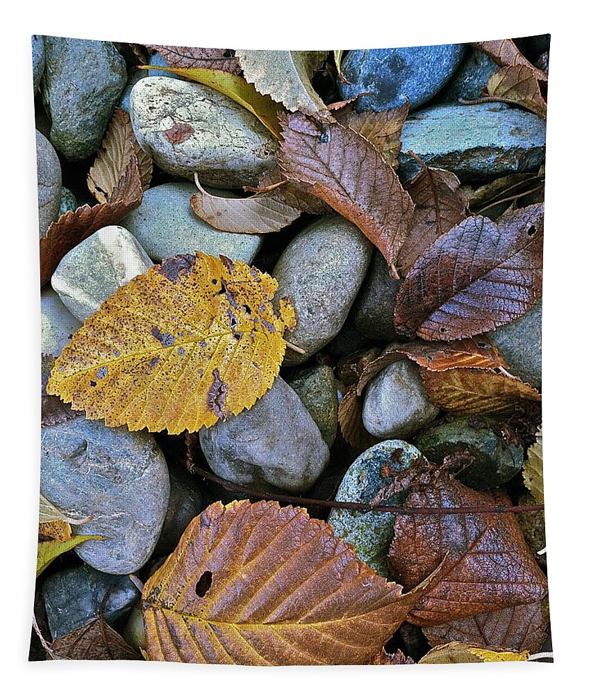 Leaves Tapestry featuring the photograph Rocks And Leaves by Bill Owen