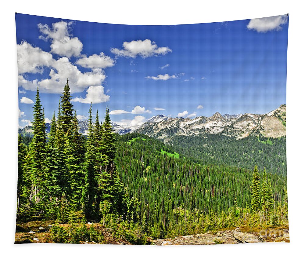 Rockies Tapestry featuring the photograph Rocky mountain view from Mount Revelstoke by Elena Elisseeva