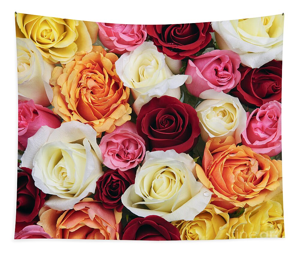 Roses Tapestry featuring the photograph Rose blossoms 2 by Elena Elisseeva