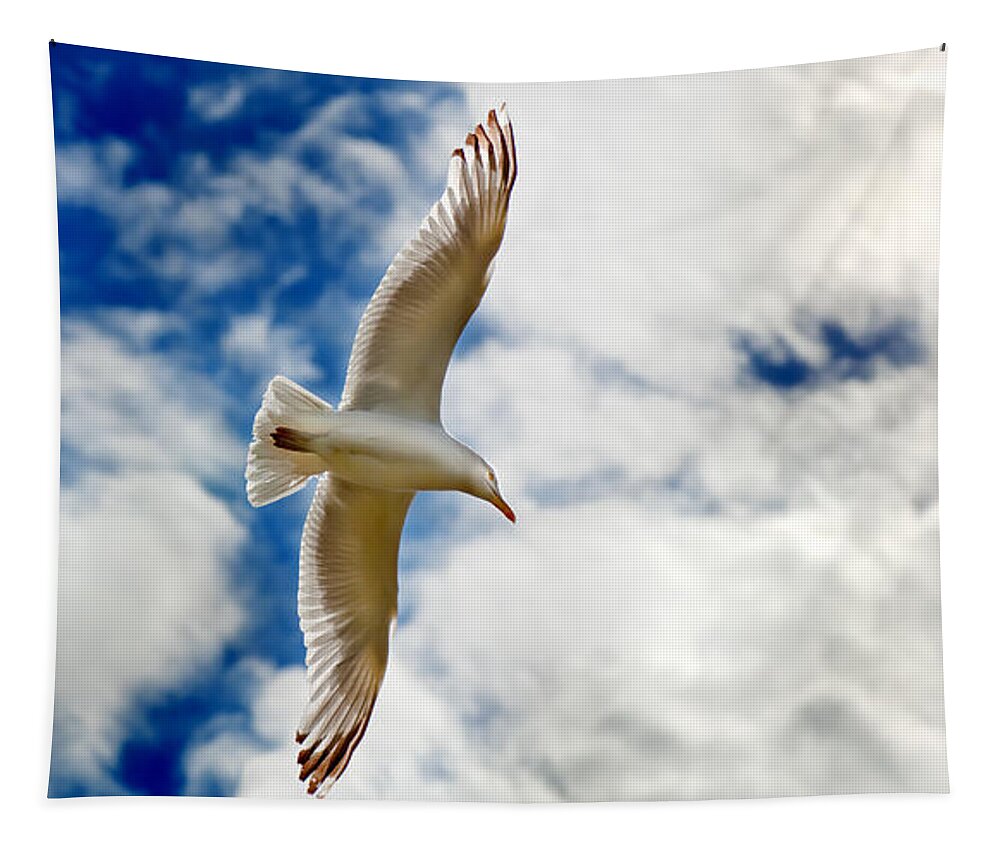 Seagul Tapestry featuring the photograph Seagul gliding in flight by Simon Bratt