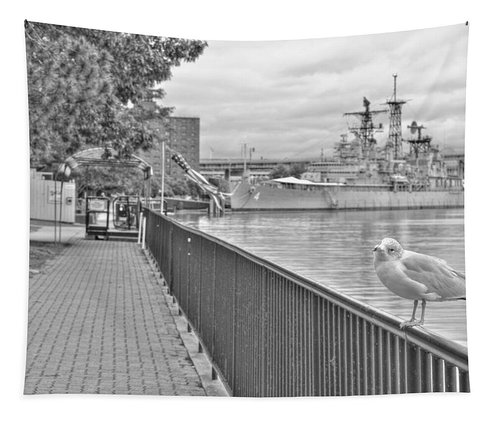  Tapestry featuring the photograph Seagull at the Naval and Military Park by Michael Frank Jr