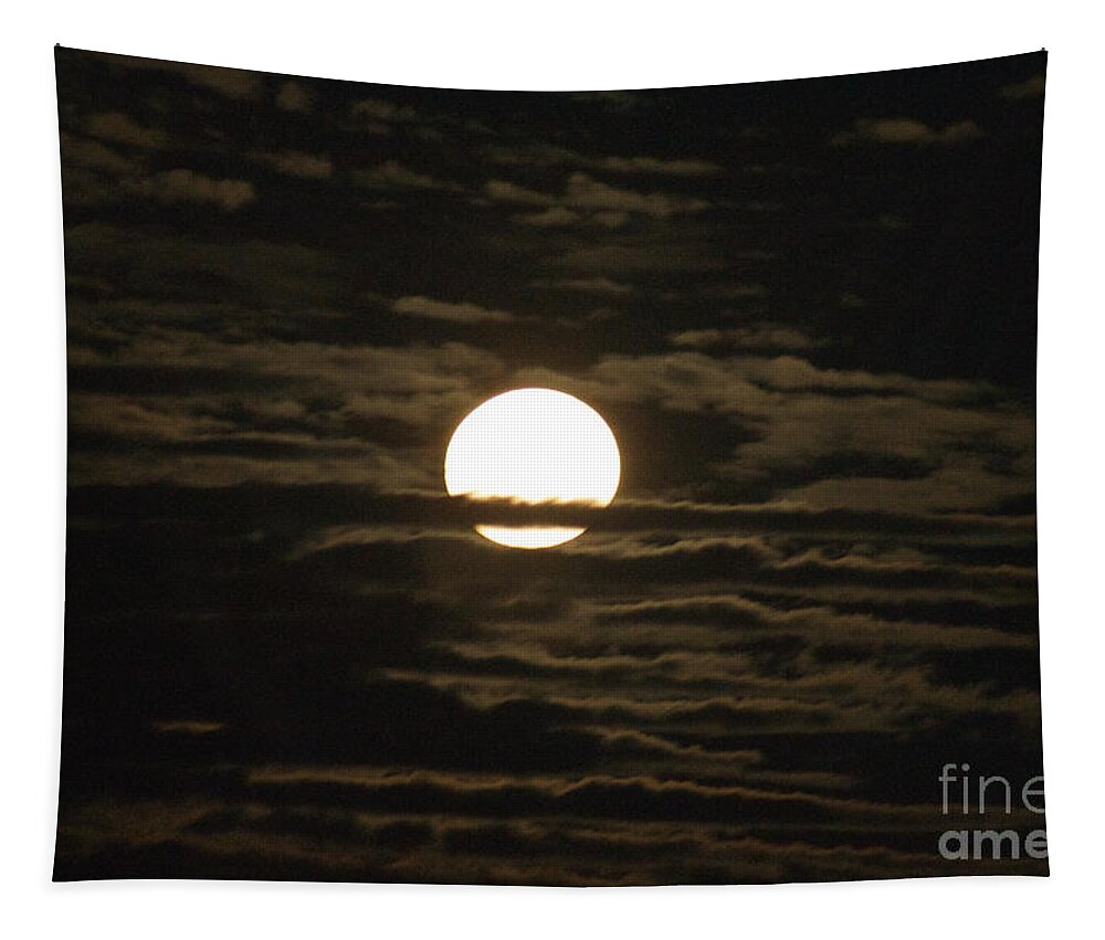 Moon Tapestry featuring the photograph Seneca Lake Moon by William Norton