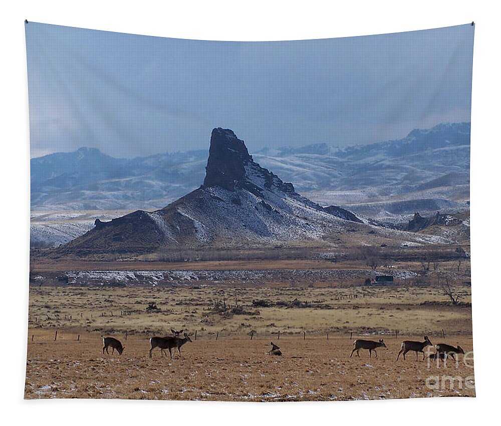 Deer Tapestry featuring the photograph Sentinels by Dorrene BrownButterfield