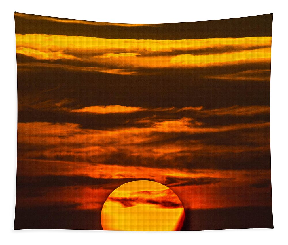 Sun Tapestry featuring the photograph Setting Sun Flyby by Shannon Harrington