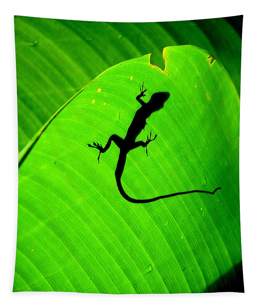 Lizard Tapestry featuring the photograph Shadowlizard by David Weeks