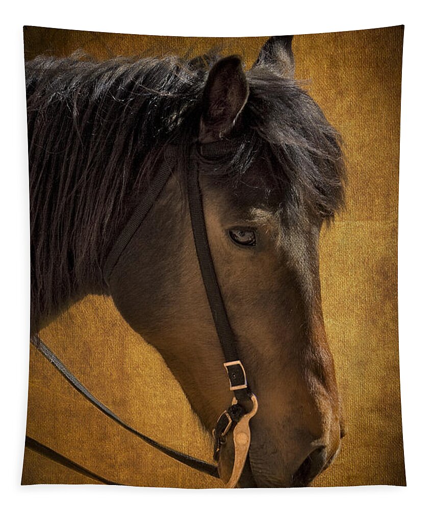 Horse Tapestry featuring the photograph Sheep Herding Horse Portrait by Susan Candelario