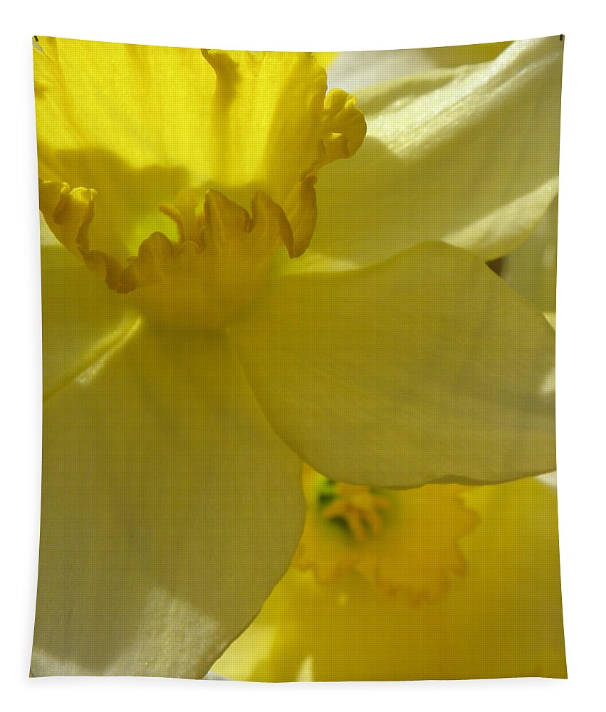 Daffodil Tapestry featuring the photograph Simplicity Within by Kim Galluzzo