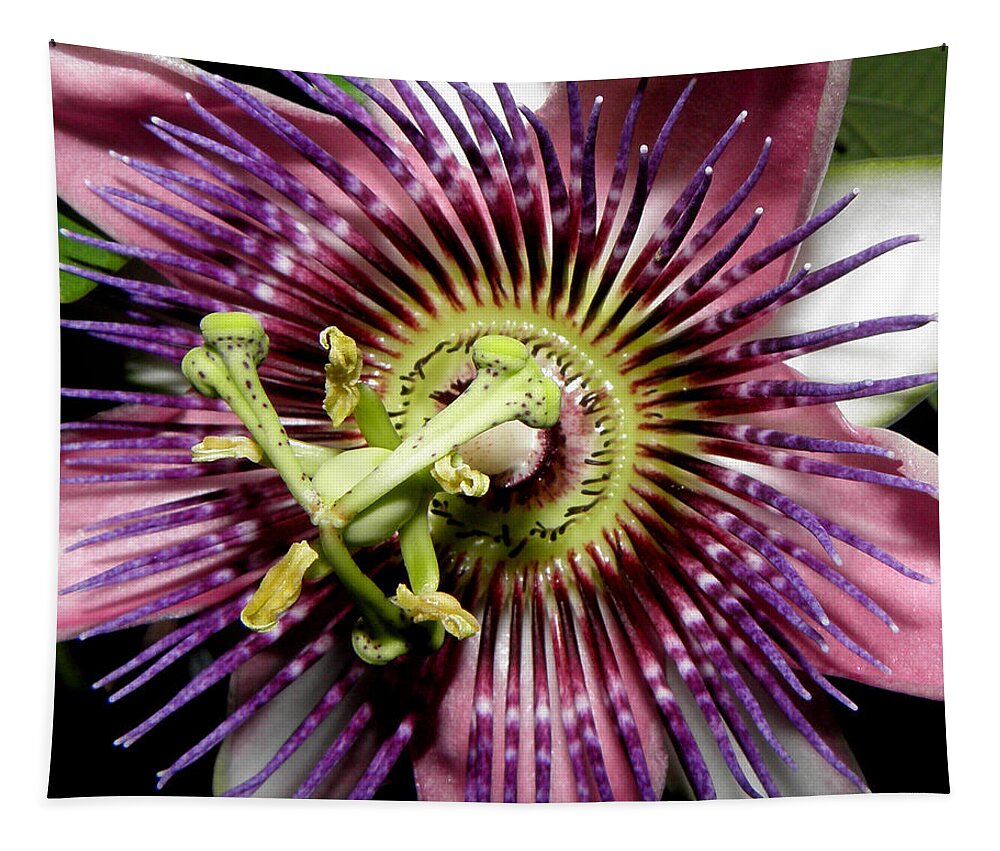 Passion Tapestry featuring the photograph Simply Magical by Kim Galluzzo