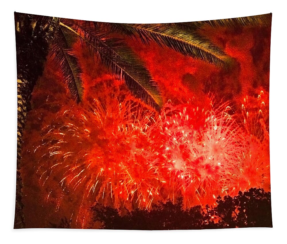 4th Of July Tapestry featuring the photograph Sky Fire by Debra and Dave Vanderlaan