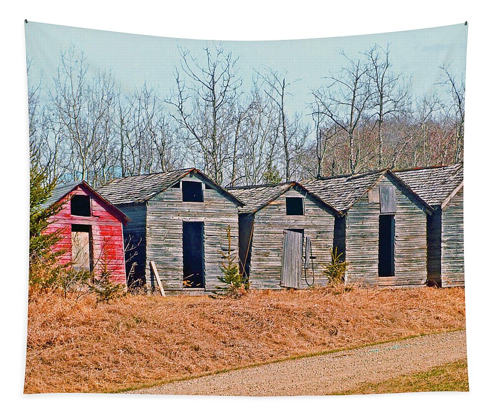 Smokehouse Tapestry featuring the photograph Smokehouse Row by S Paul Sahm