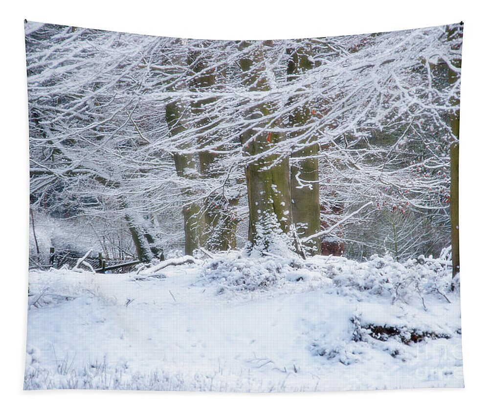 Snow Tapestry featuring the photograph Snow Magic by Ann Garrett