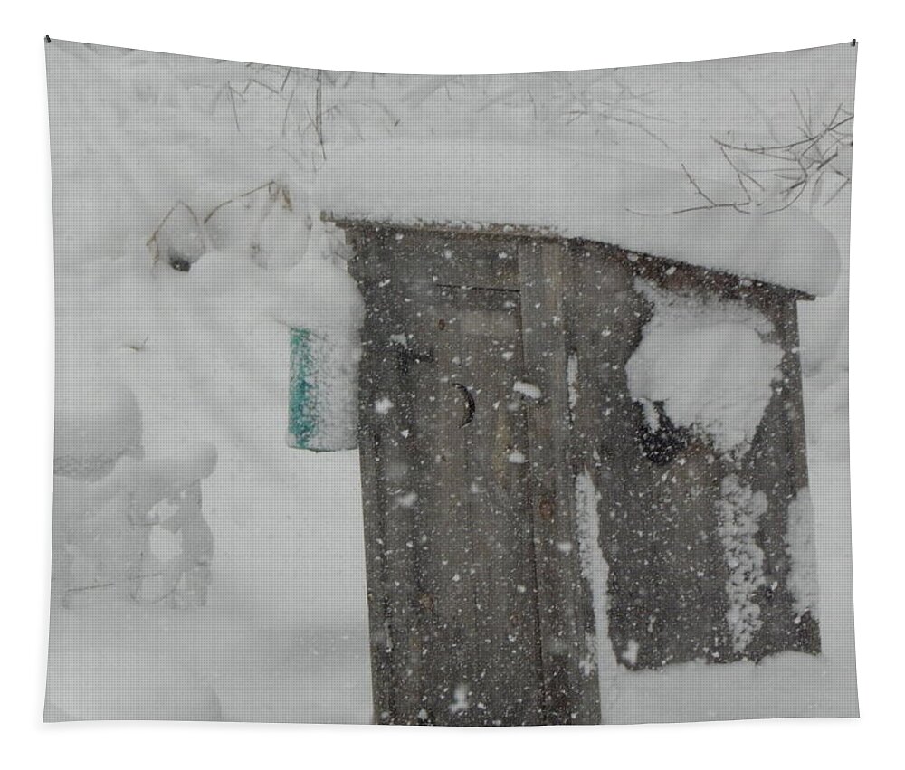 Snow Tapestry featuring the photograph Snow Storm In The Country by Kim Galluzzo Wozniak