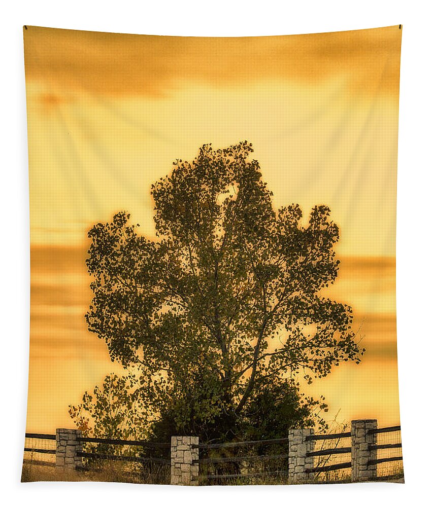Klondike Park Tapestry featuring the photograph Soaking Up A Sunset Glow by Bill and Linda Tiepelman