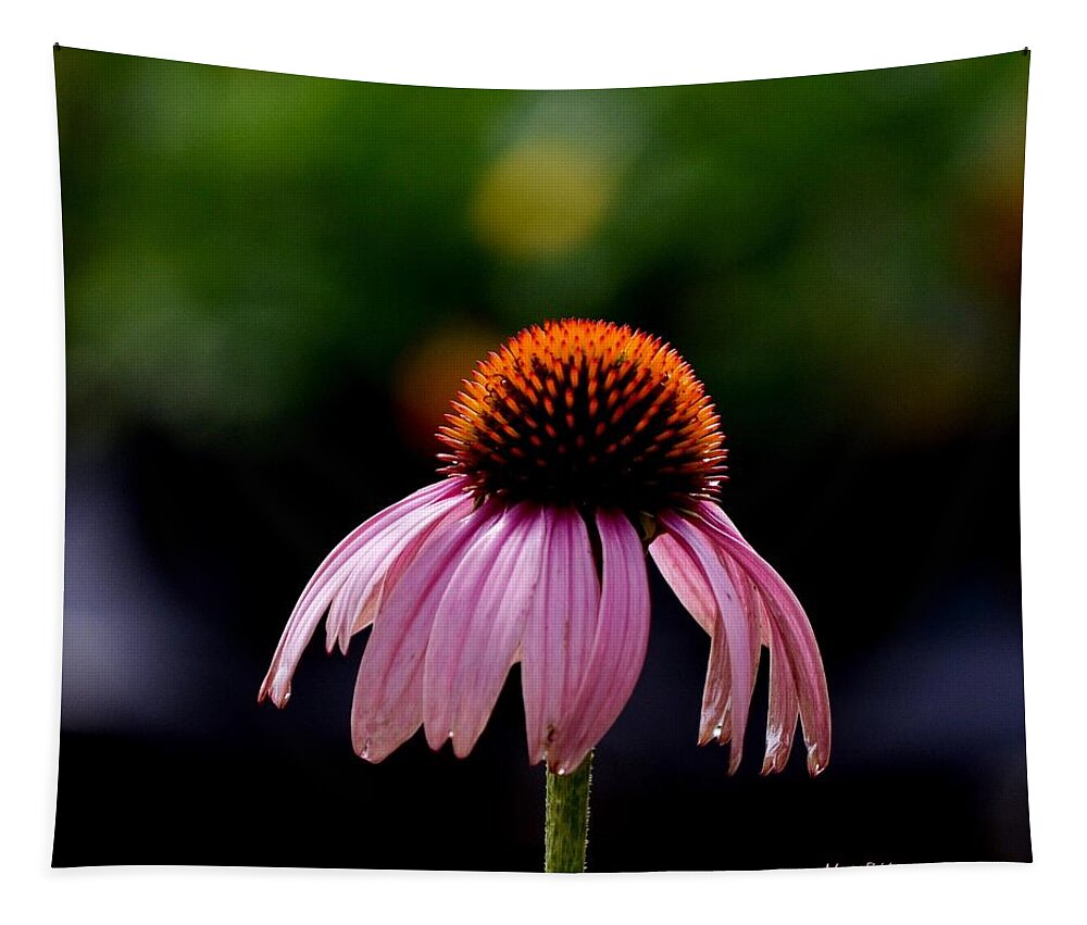 Soft Tapestry featuring the photograph Soft Illumination by Maria Urso