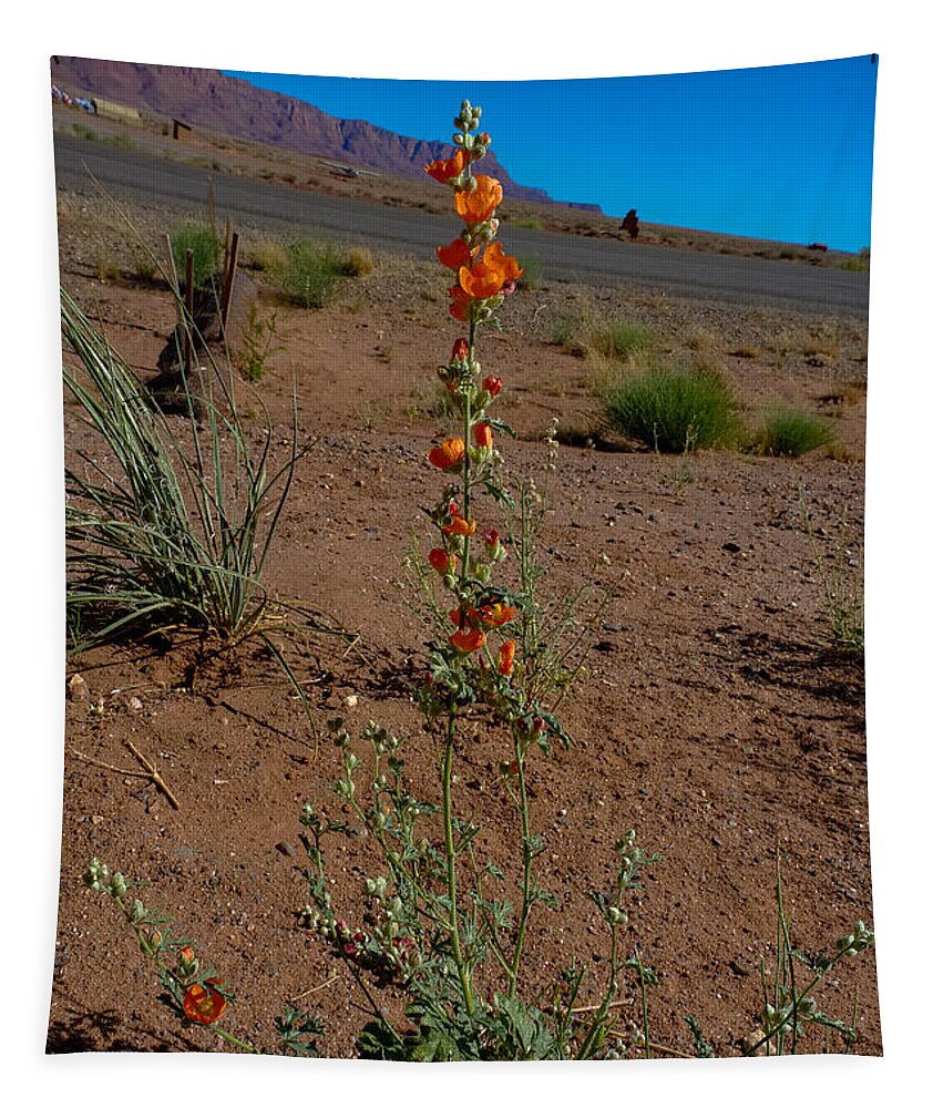 Flower Tapestry featuring the photograph Southwest Wildflower by Julie Niemela