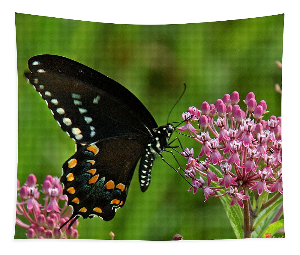 Nature Tapestry featuring the photograph Spicebush Swallowtail DIN039 by Gerry Gantt