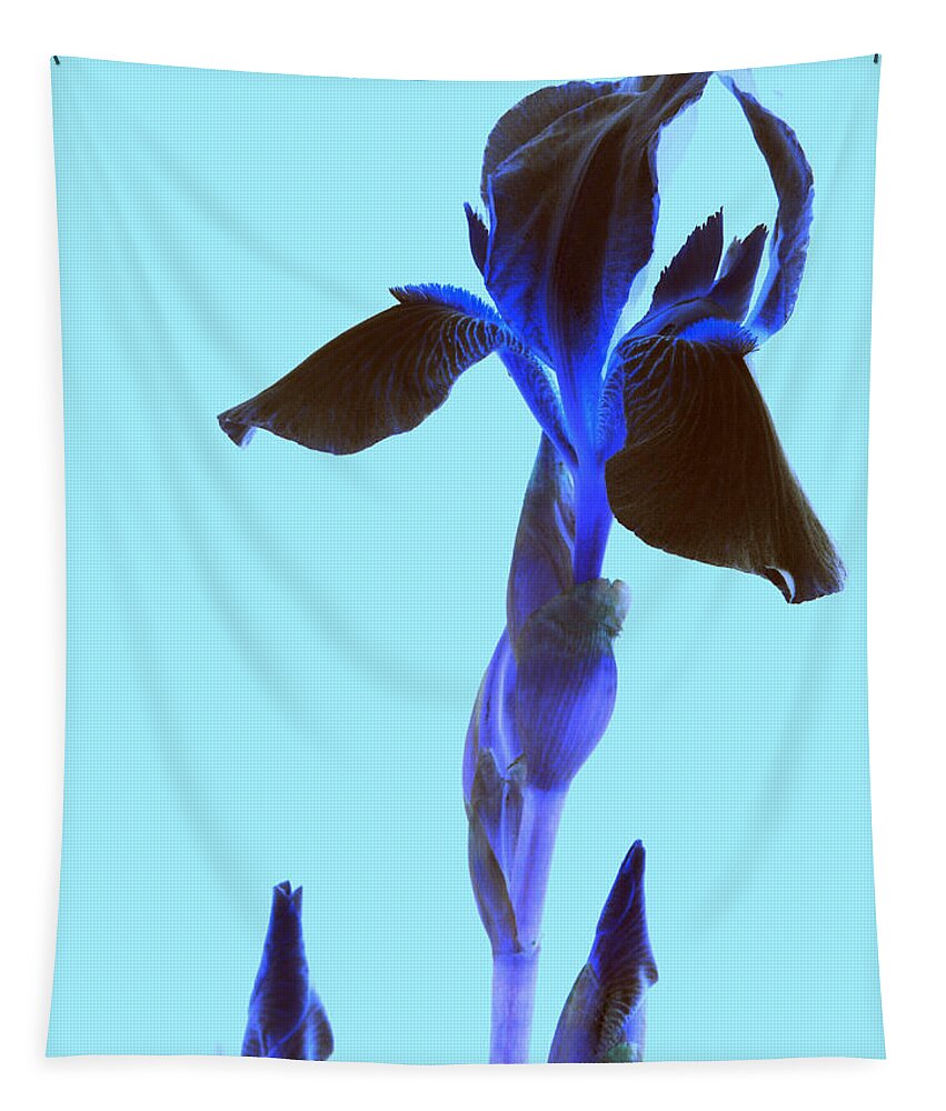 Iris Tapestry featuring the photograph Spring Abstract by Kim Galluzzo