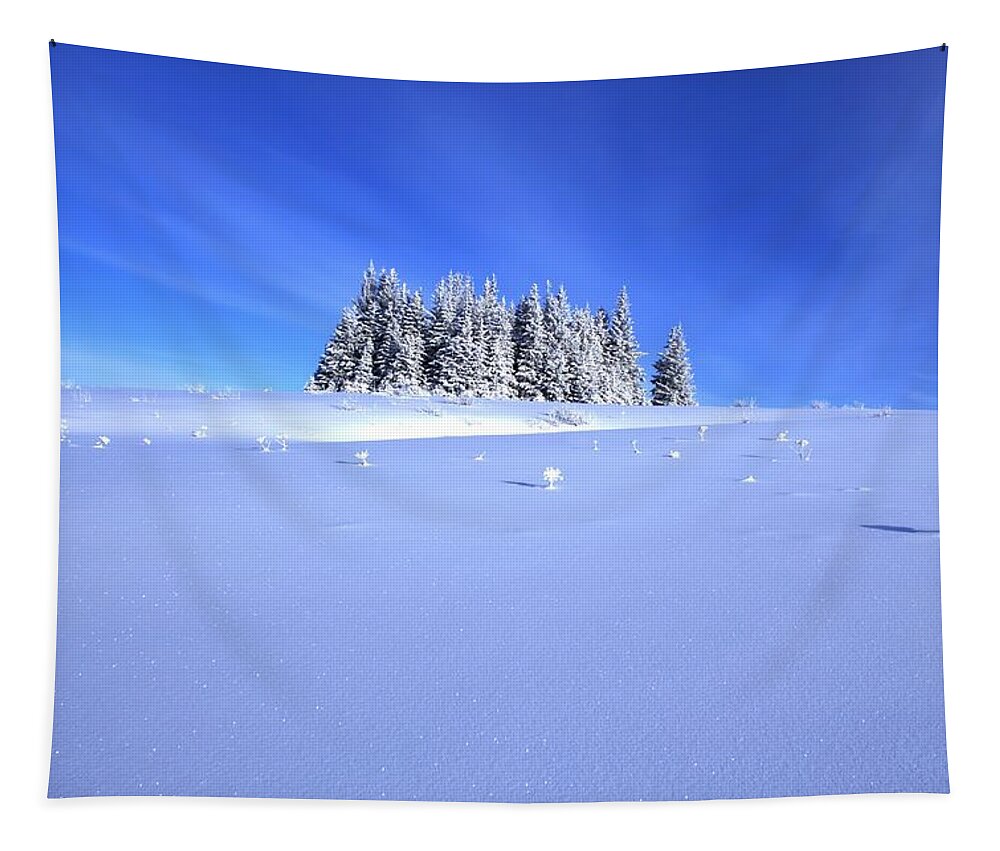 Snow Tapestry featuring the photograph Spruce Grove in Winter by Michele Cornelius