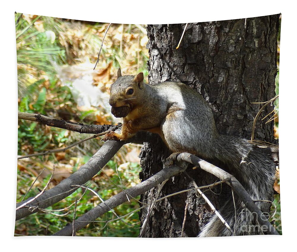 Squirrel Tapestry featuring the photograph Squirrling Away by Laurel Best