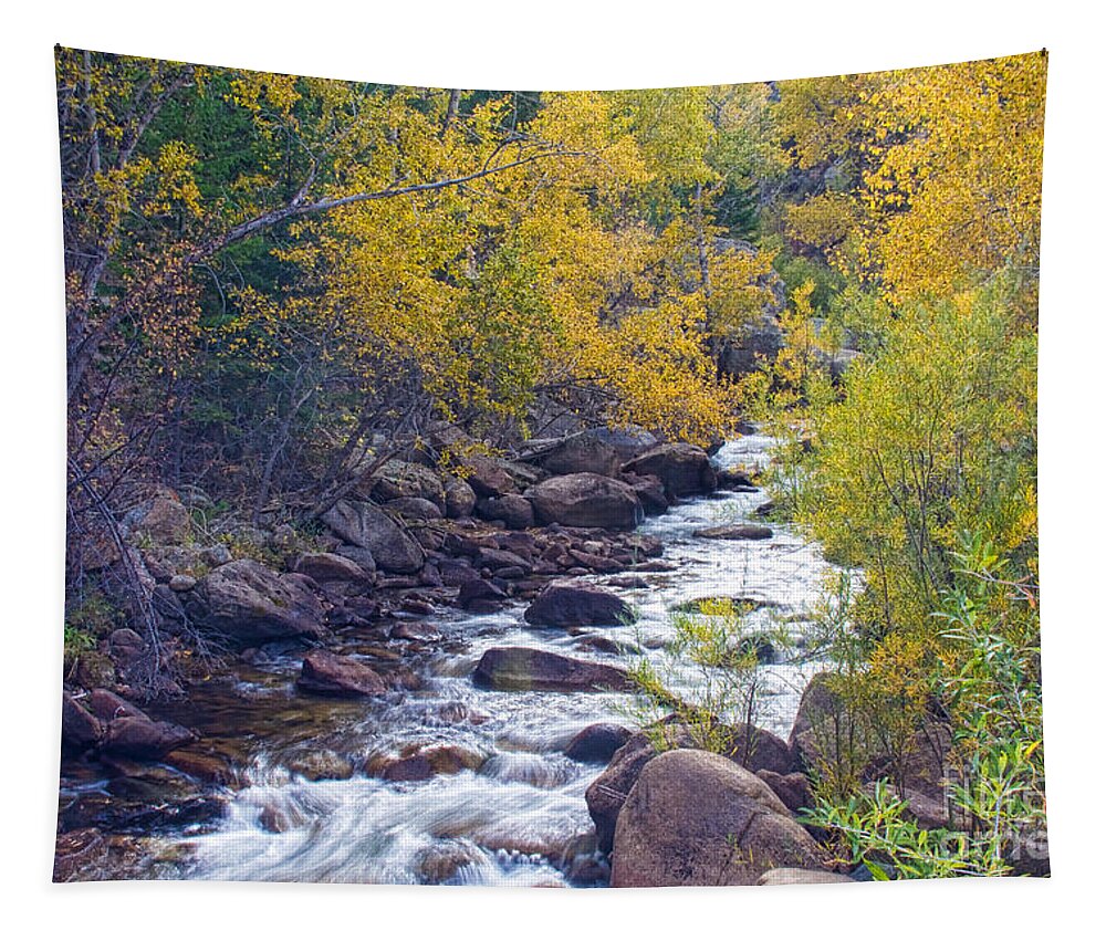 Autumn Tapestry featuring the photograph St Vrain Canyon and River Autumn Season Boulder County Colorado by James BO Insogna
